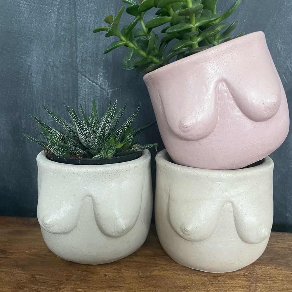 ONE TO BE SENT - Boobie Planters - Handmade